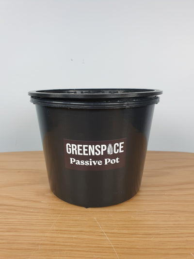 Dr Greenthumbs Greenspace Mesh Pot + Bucket Combo - Passive hydroponics Root'd Plants 