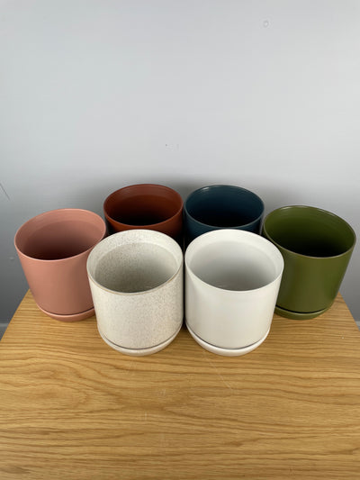 Oslo Pot 110mm - Assorted Colours (Home Delivery Only) Root'd Plants 