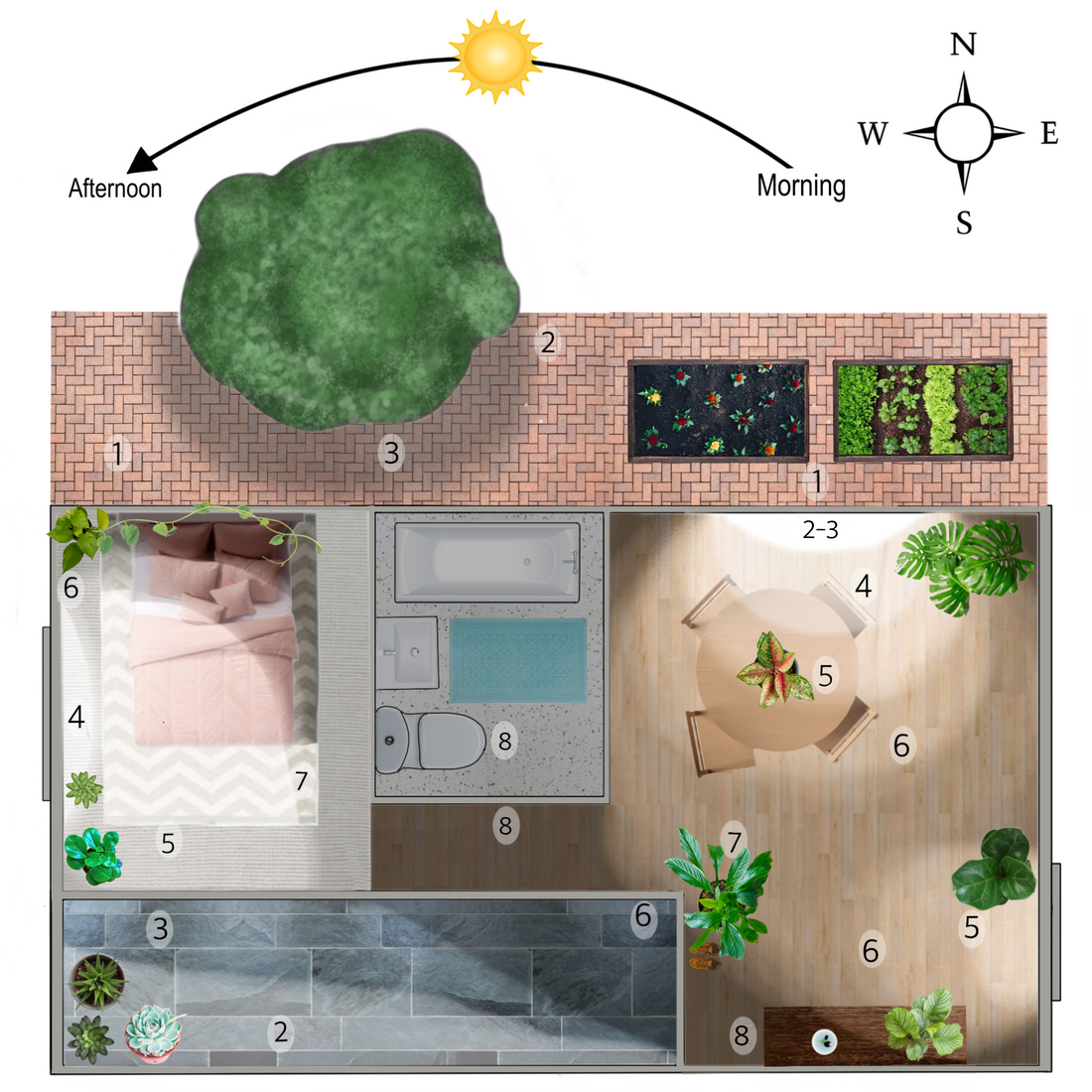 How Much Light does my Plant Need?