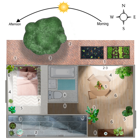 How Much Light does my Plant Need?