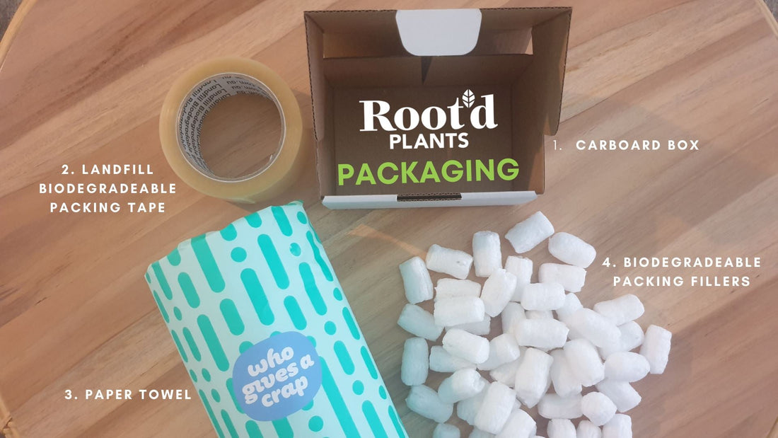 How to Dispose of your Root'd Plants Packaging