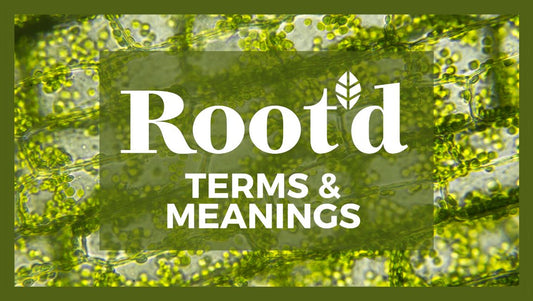 Horticultural Terms and Meanings