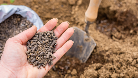 How do I  Fertilise or Feed my Plant?