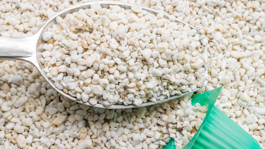 The Root'd Plants Method for Propagating with Perlite