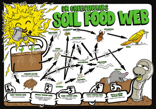 Dr Greenthumbs on the Soil Food Web