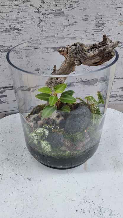 Cylinder Terrarium