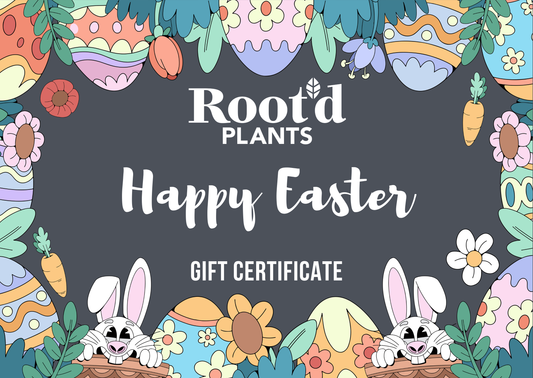 根植物礼品卡 - 圣诞版