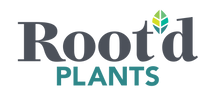 Root'd Plants