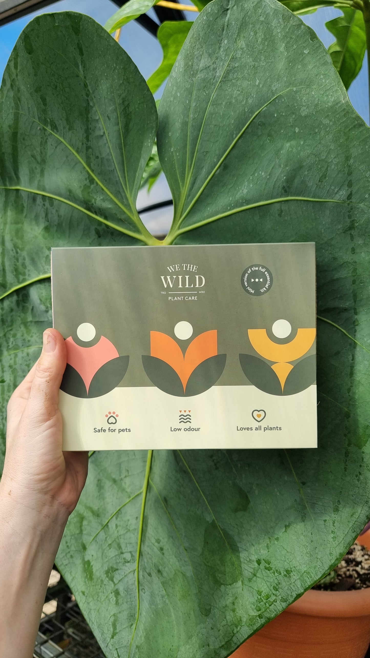 We The Wild - Mini Essential Plant Care Kit