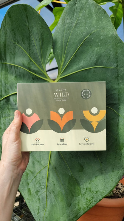 We The Wild - Mini Essential Plant Care Kit