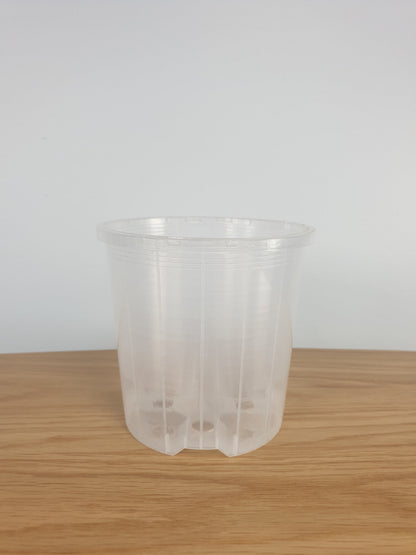Clear & Anti-spiral Pots - watch those roots grow! Root'd Plants 100mm 