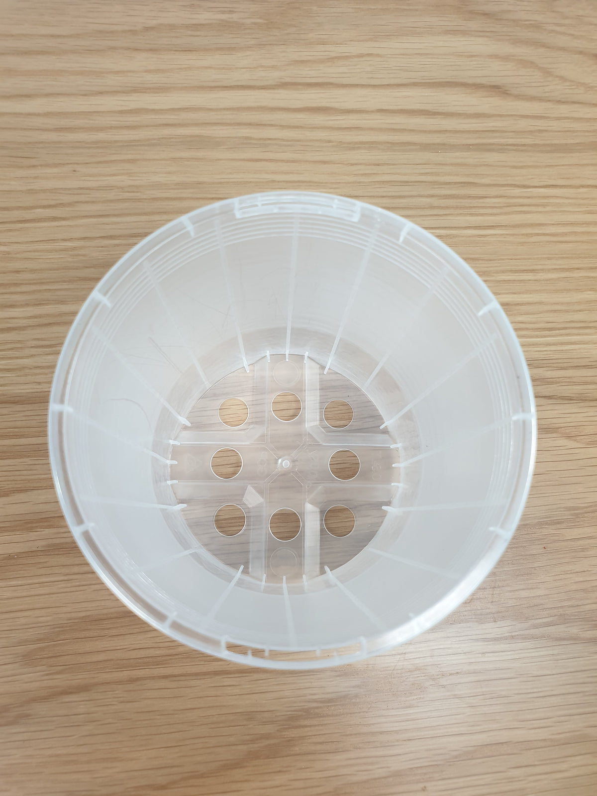 Clear & Anti-spiral Pots - watch those roots grow! Root'd Plants 