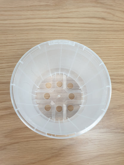 Clear & Anti-spiral Pots - watch those roots grow! Root'd Plants 