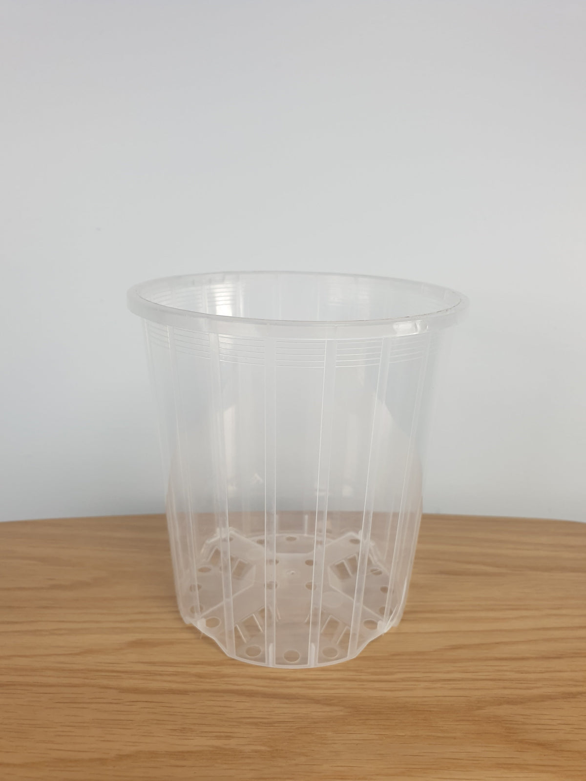Clear & Anti-spiral Pots - watch those roots grow! Root'd Plants 135mm 