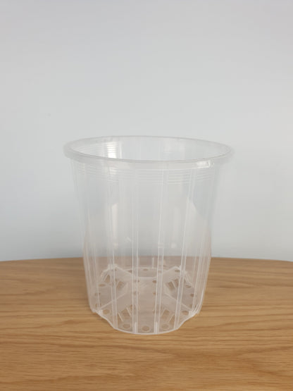 Clear & Anti-spiral Pots - watch those roots grow! Root'd Plants 135mm 