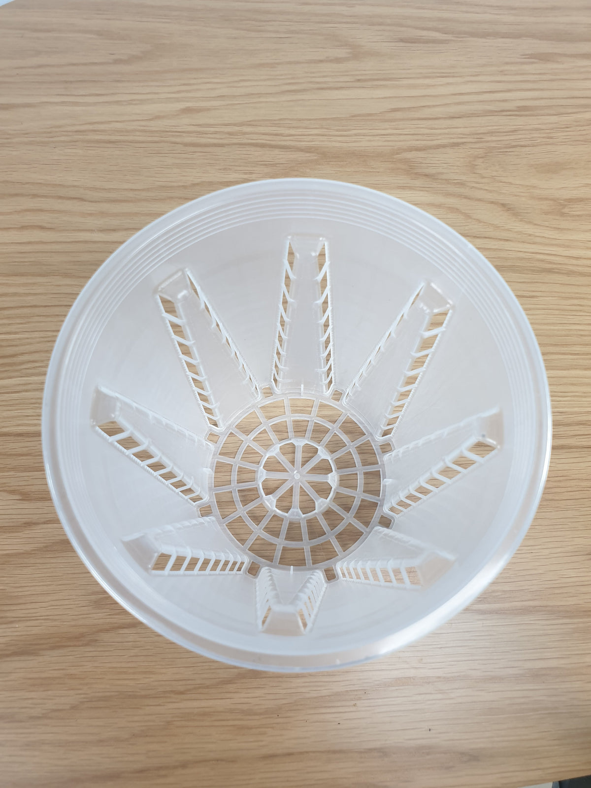 Clear & Anti-spiral Pots - watch those roots grow! Root'd Plants 