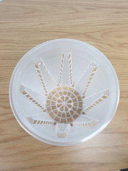 Clear & Anti-spiral Pots - watch those roots grow! Root'd Plants 