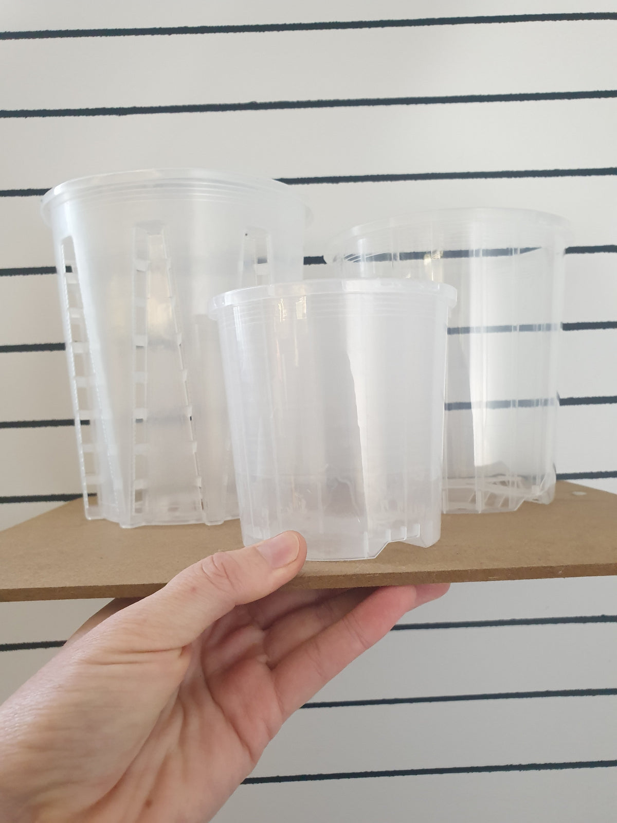 Clear & Anti-spiral Pots - watch those roots grow! Root'd Plants 