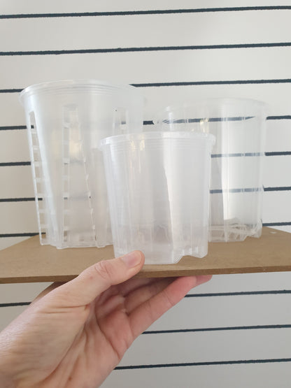 Clear & Anti-spiral Pots - watch those roots grow! Root'd Plants 