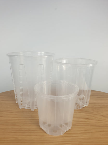 Clear & Anti-spiral Pots - watch those roots grow! Root'd Plants 