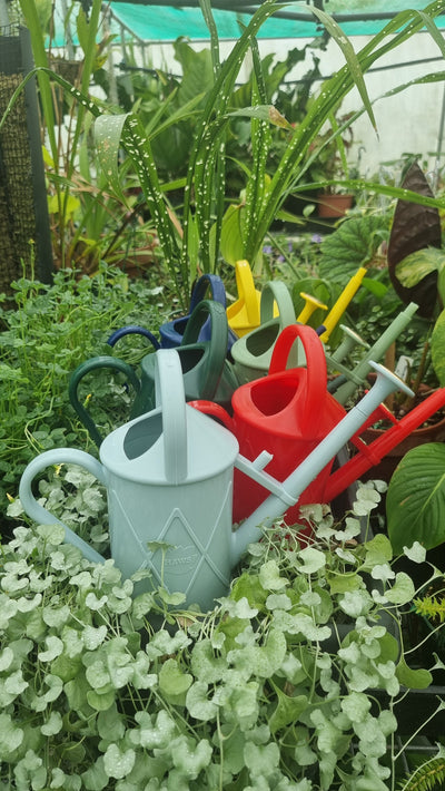 Haws Heritage Watering Can - The Bartley Burbler Root'd Plants 