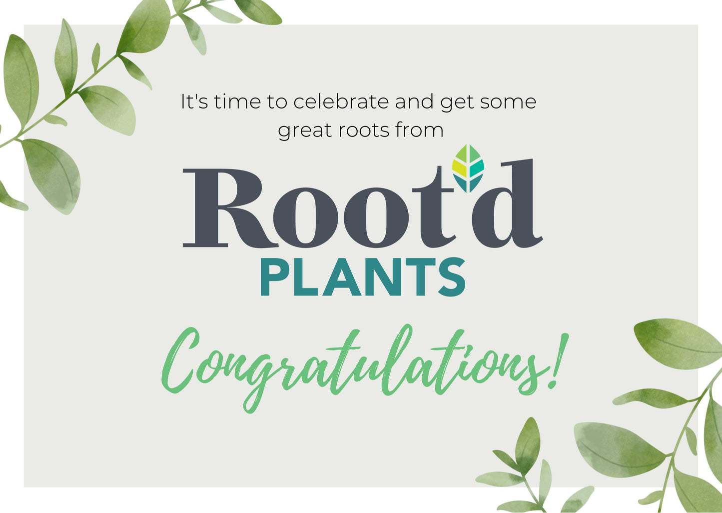 Root'd Plants Gift Card - Congratulations Edition! Congratulations Gift Card Root'd Plants 