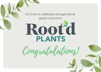 Root'd Plants Gift Card - Congratulations Edition! Congratulations Gift Card Root'd Plants 