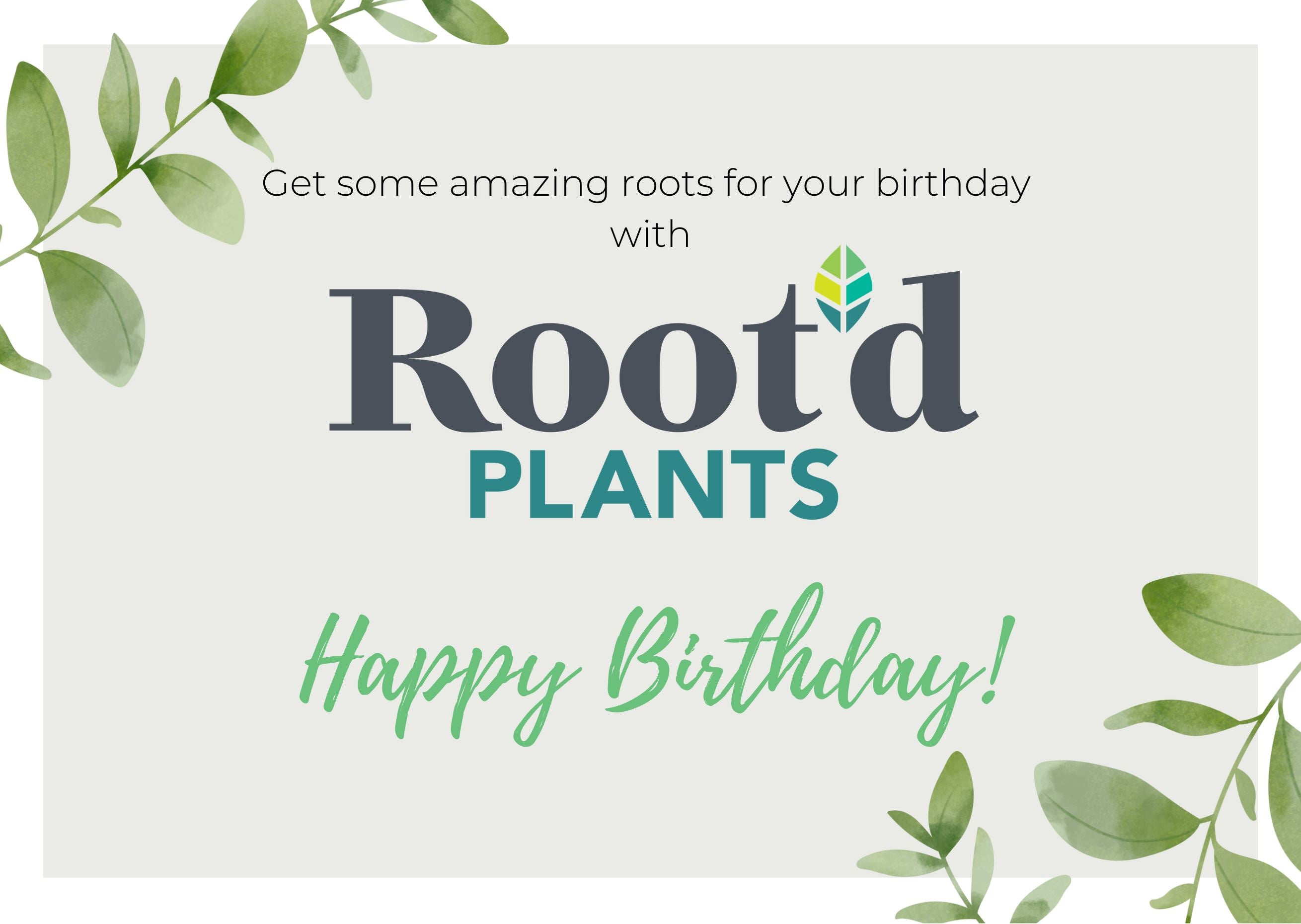 Root'd Plant Gift Card - Birthday Edition! – Root'd Plants