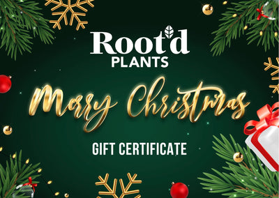 Root'd Plants Gift Card - Xmas Edition Gift Cards Root'd Plants 