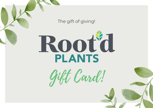 Root'd Plants Gift Card Gift Cards Root'd Plants 